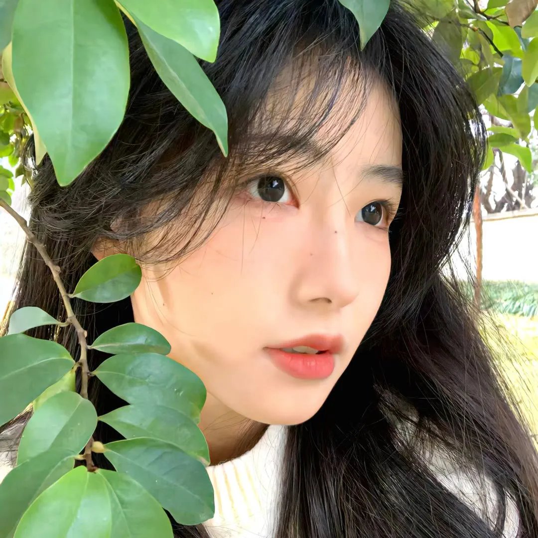 艳曲情歌